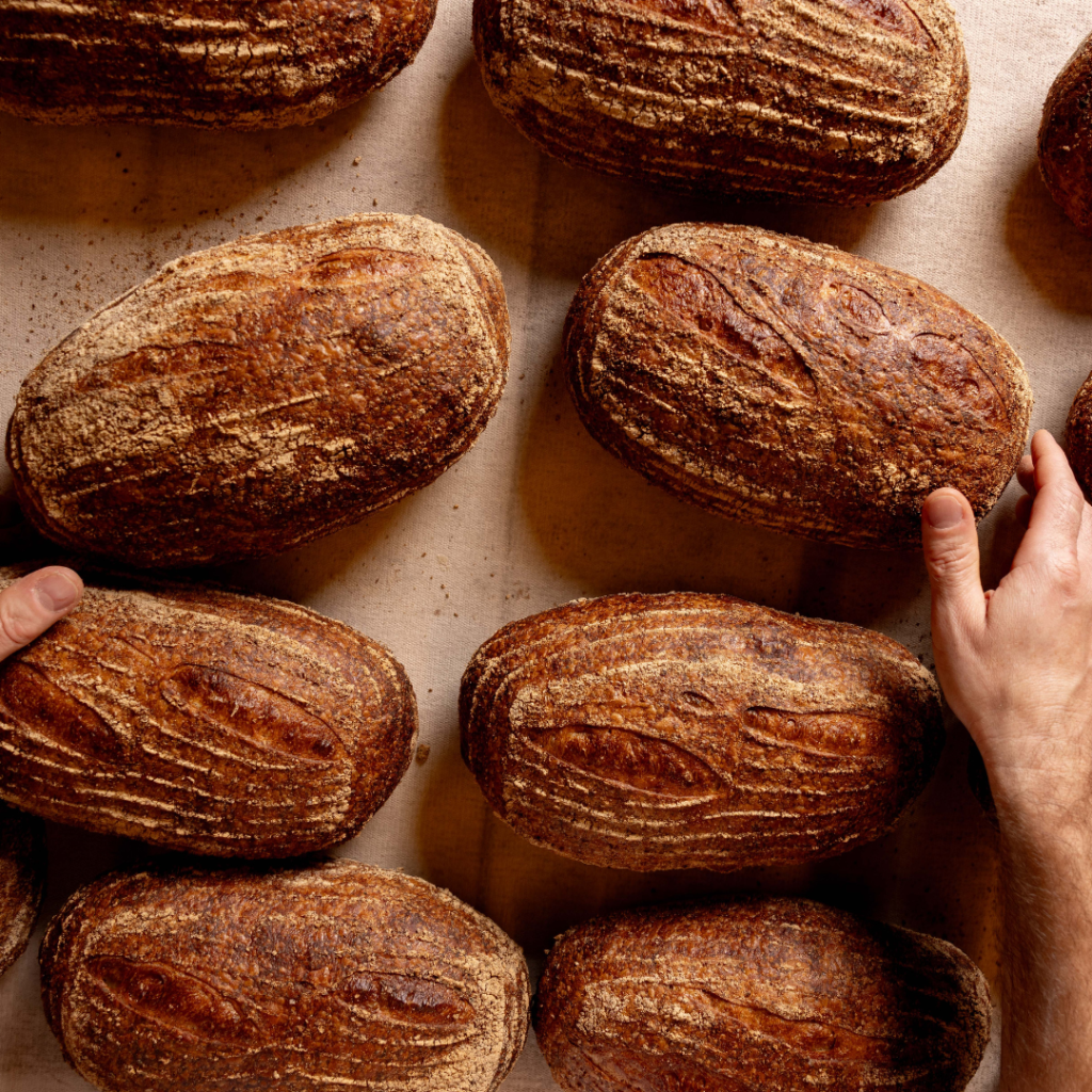A Beginner's Guide to Sourdough