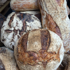 Guide to Sourdough - Bread Ahead