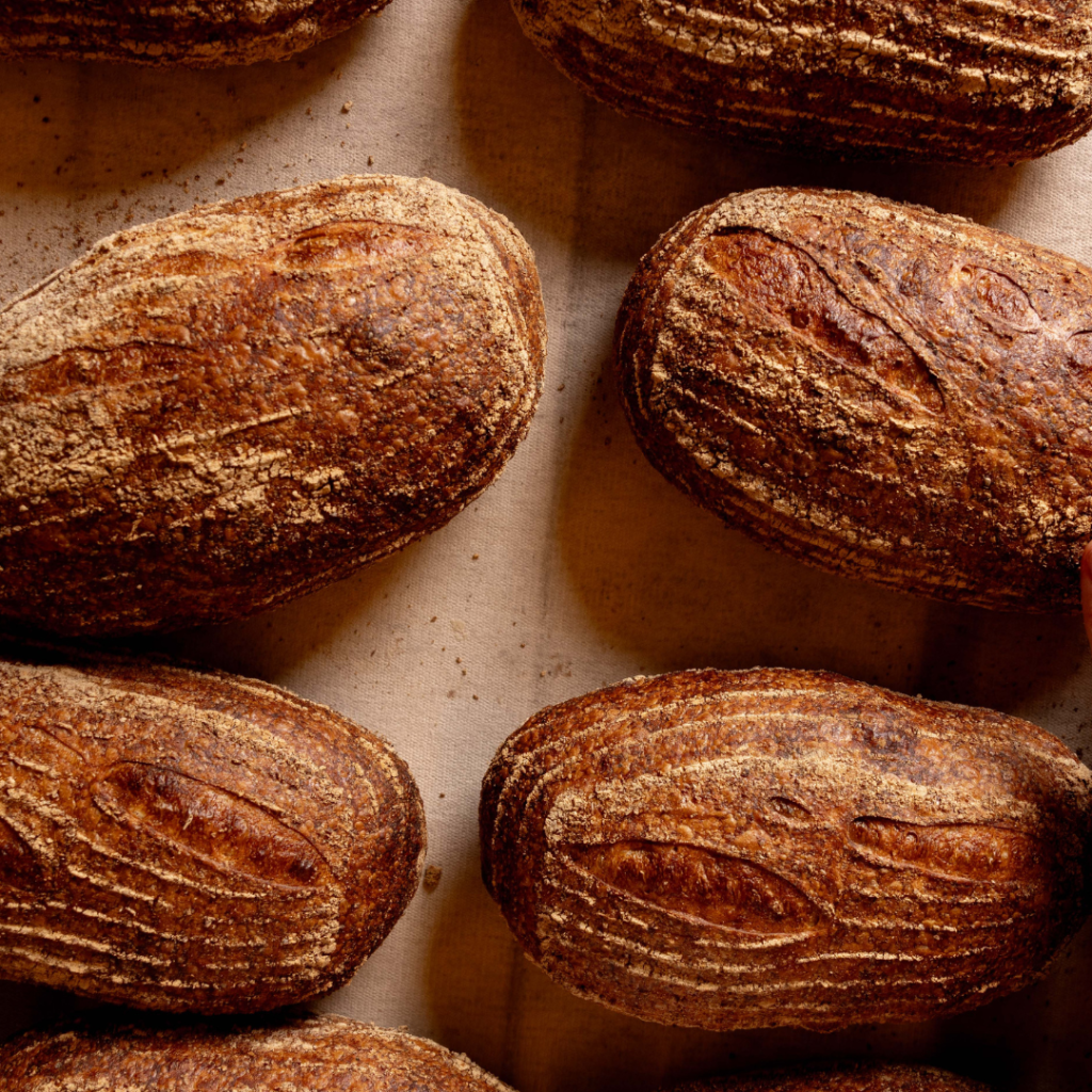 Introduction to Sourdough Baking Workshop